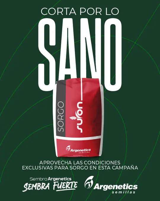 Venta de Sorgo Argenetics