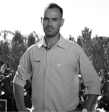 Anton Montenegro