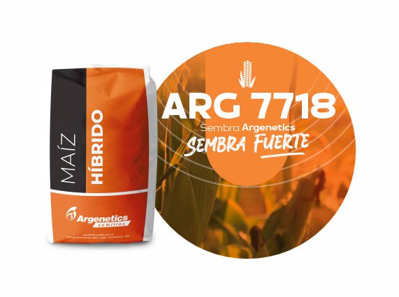 7718 VT3P