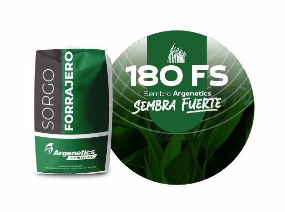 Sorgo 180 FS