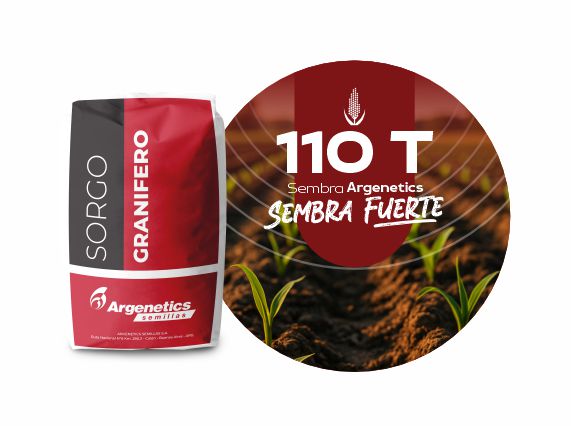 Sorgo 110 T