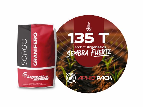 Sorgo 135 T