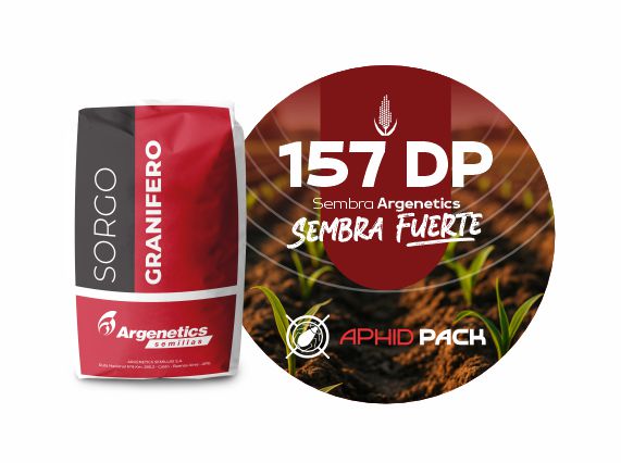 Sorgo 157 DP