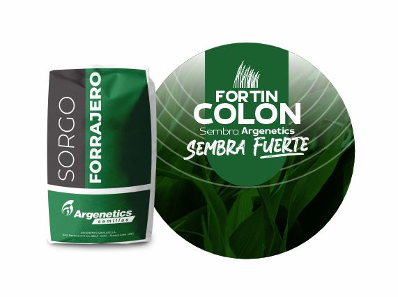 Sorgo Fortin Colon