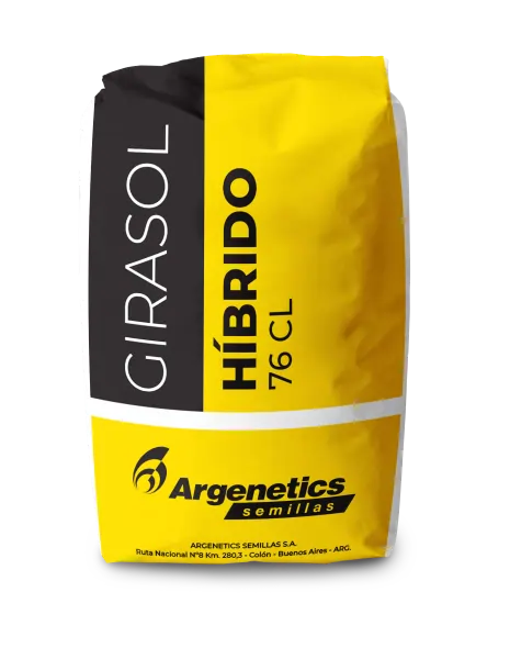Bolsa ARG 76 CL