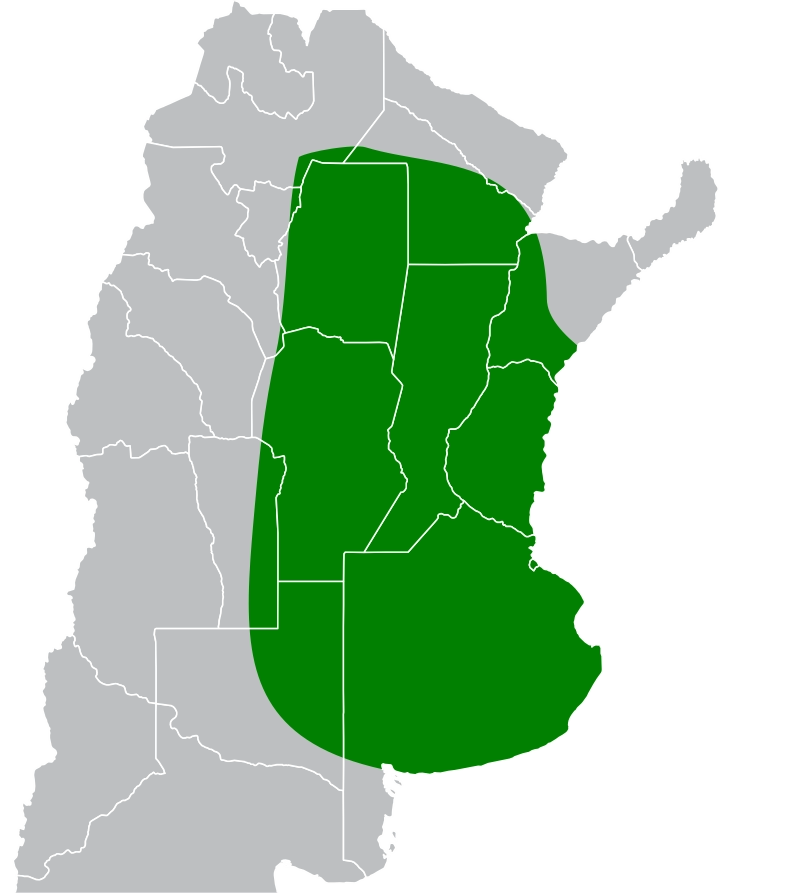 Mapa de Recomendación ARG 7714