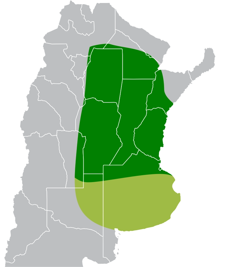 Mapa de Recomendación ARG 7718