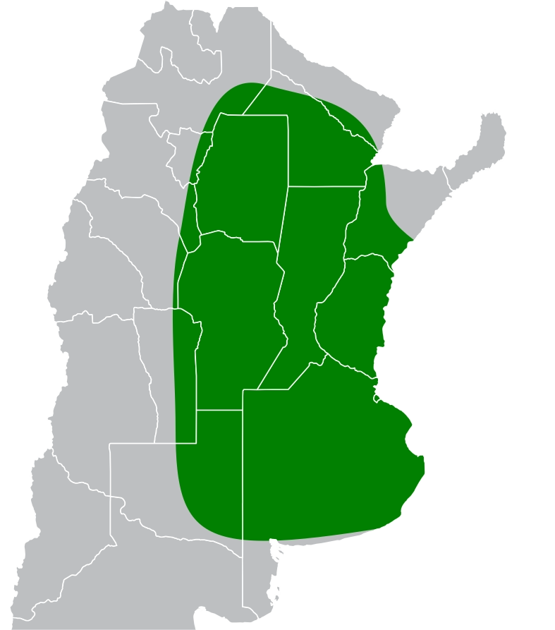 Mapa de Recomendación ARG 7726