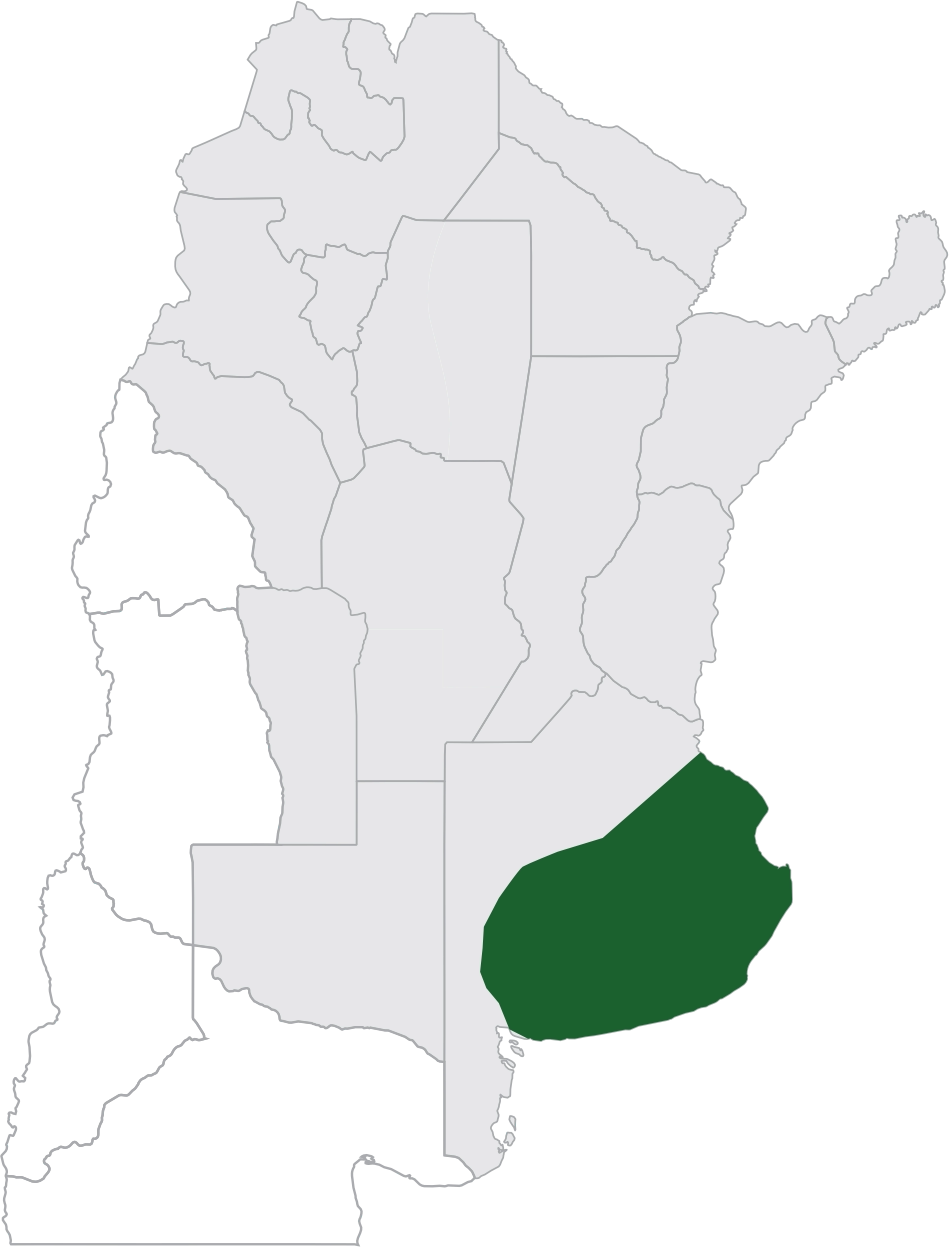 Mapa zona 8